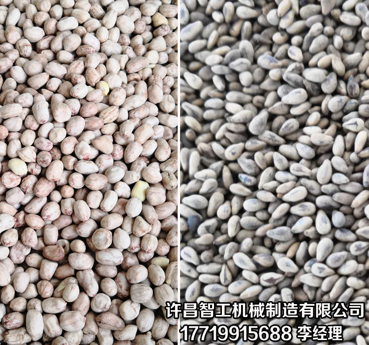 炒芝麻機(jī)
