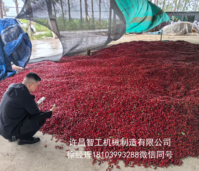 炒辣椒機(jī)器